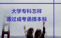 大学专科怎样通过成考函授本科