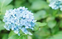 四川大学成人高考函授大专学费